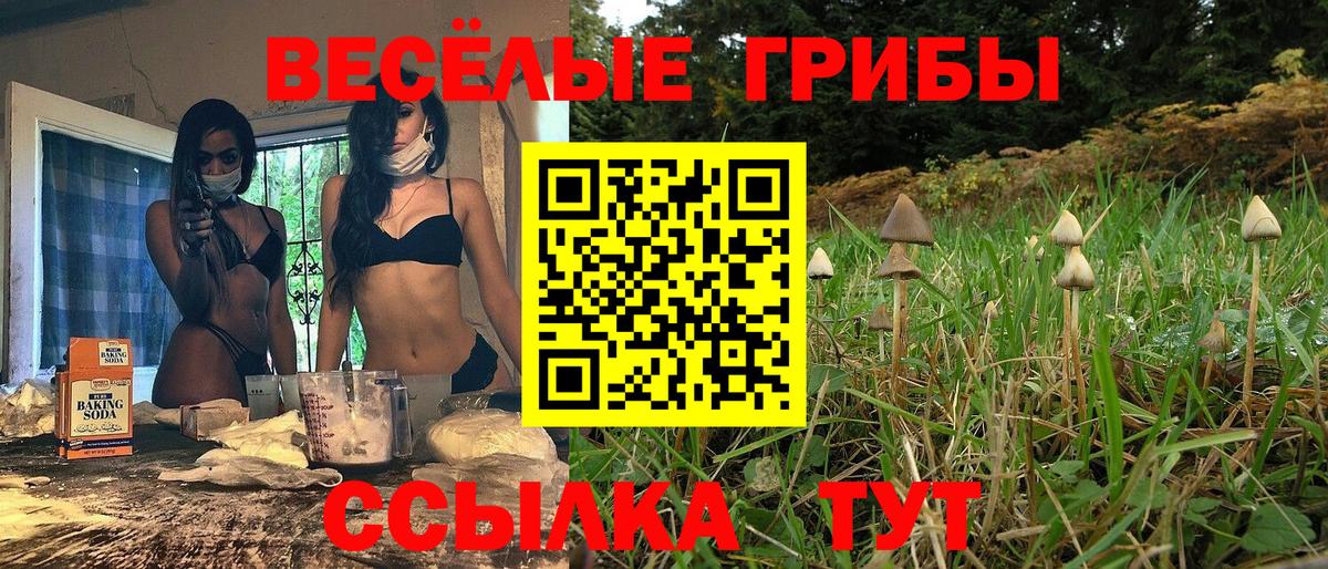Златоуст  Галлюциногенные грибы Psilocybine cubensis  Вход с VPN 